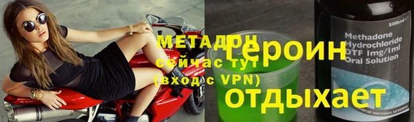 индика Вяземский