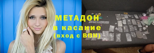 индика Вяземский
