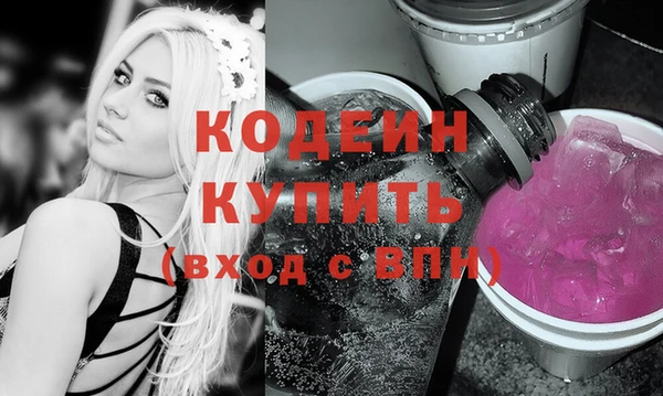 индика Вяземский