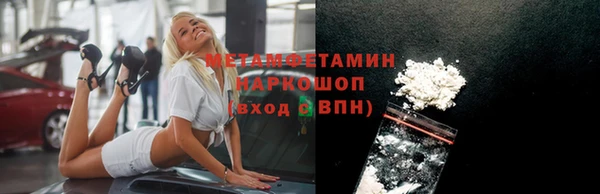 индика Вяземский