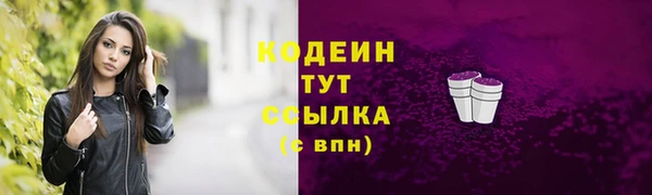 индика Вяземский