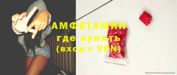 ешки Горняк