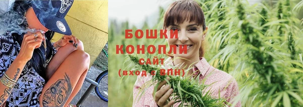 индика Вяземский
