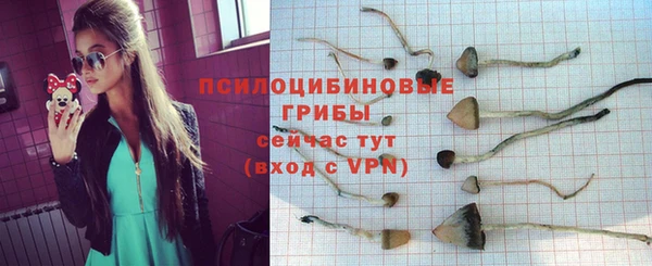 винт Горнозаводск