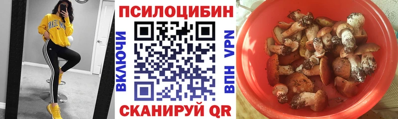 Купить где  Егорьевск  Галлюциногенные грибы MAGIC MUSHROOMS 