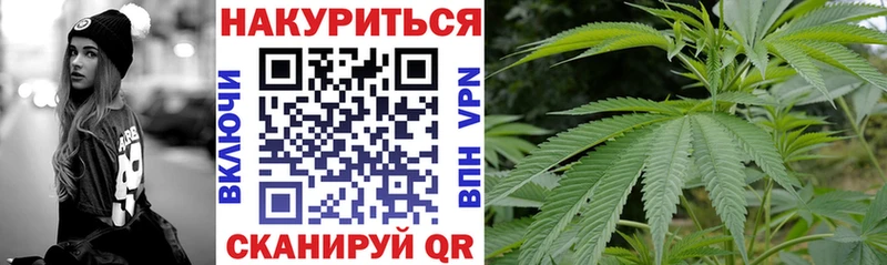 Канабис ГИДРОПОН  Купить закладки  Егорьевск 